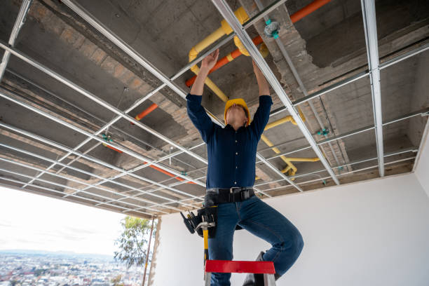 Best Residential Plumbing Services  in Chesterfield, IN